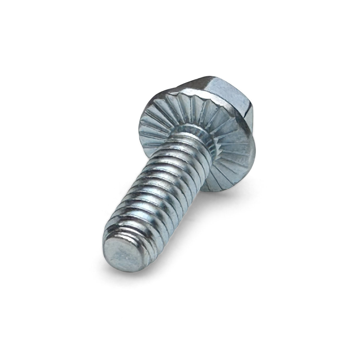 Bolt Kit - 1/4"-20 x 1-1/4" (20 Pack)