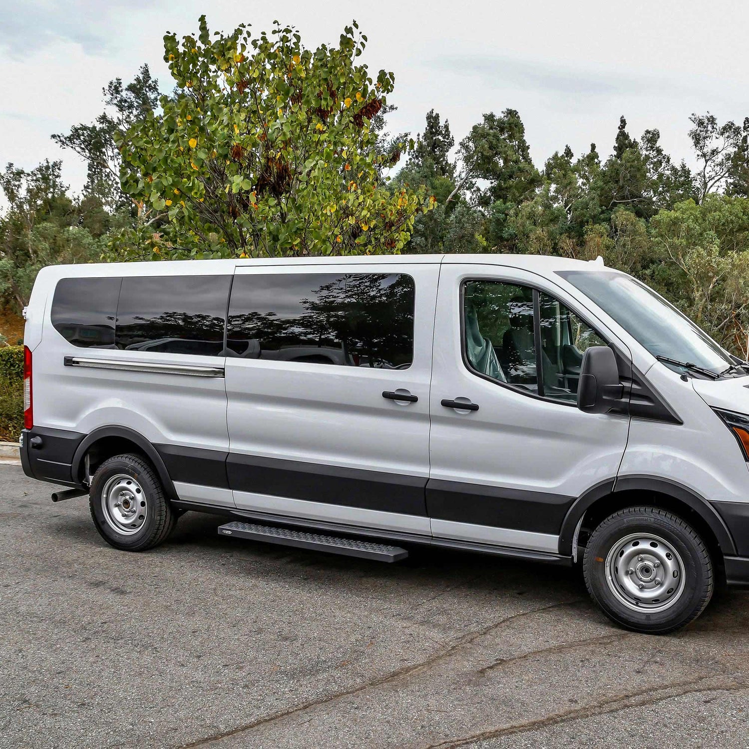 Westin Van Running Boards & Steps
