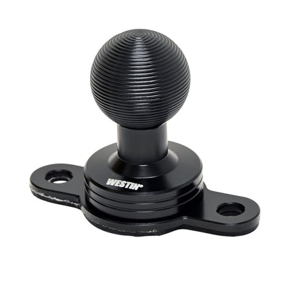 Westin AMPS Compatible 2 Hole 20mm Ball Mount 3 - 10-21005