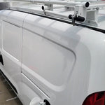 Mario H - RAM ProMaster City