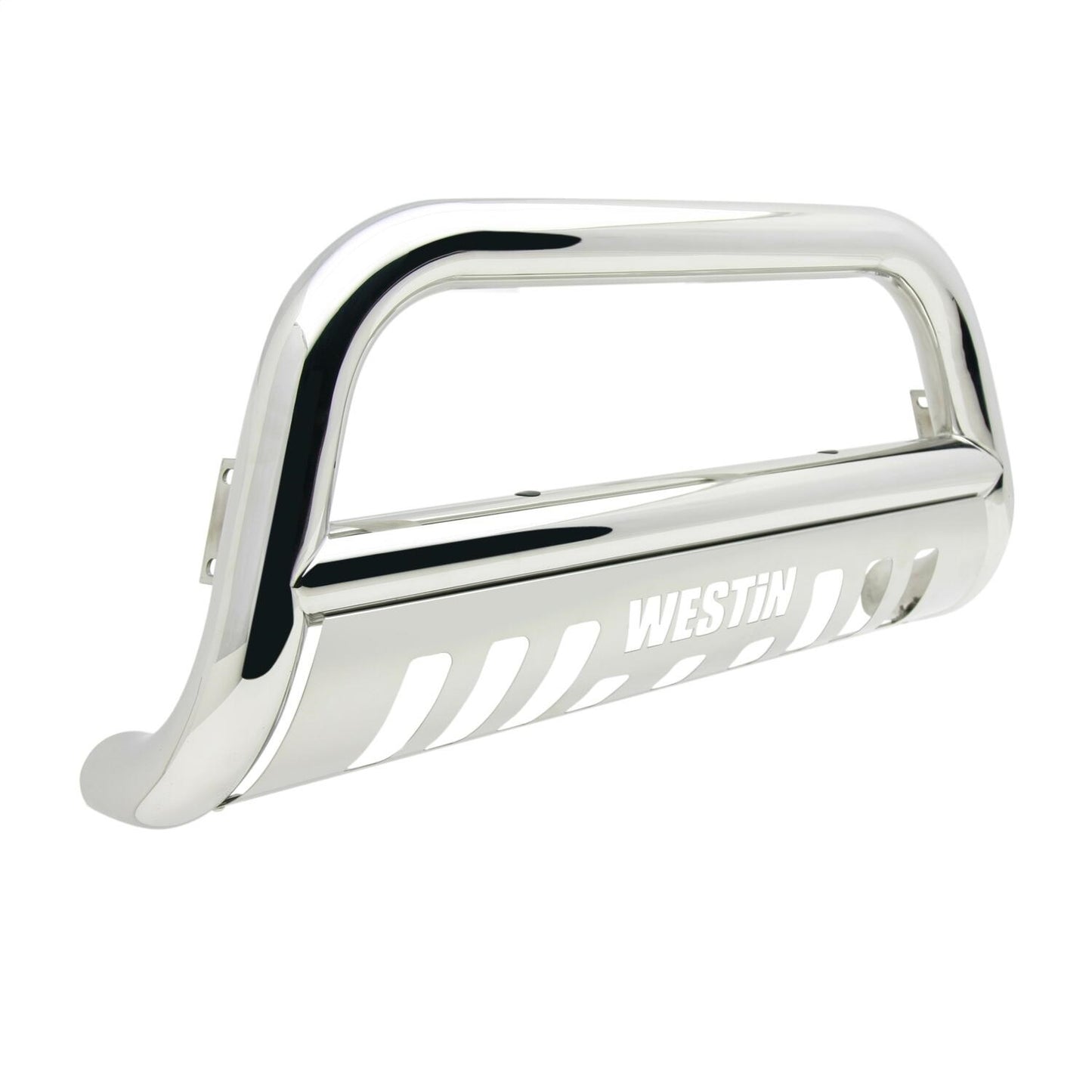 Westin E-Series Bull Bar for RAM Heavy Duty trucks (2010-2018) - 31-5550