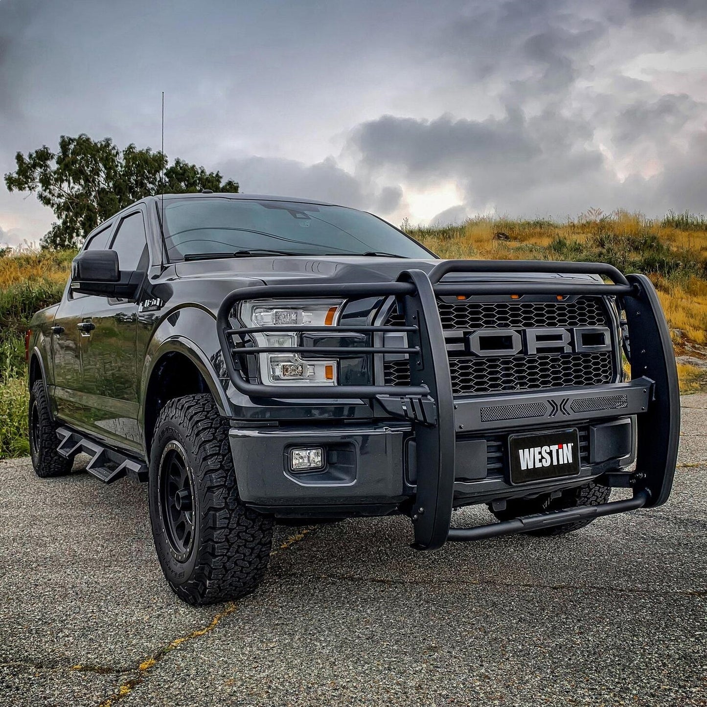Westin Sportsman X Grille Guard for Ford F-150 (2015-2020) - 40-33835