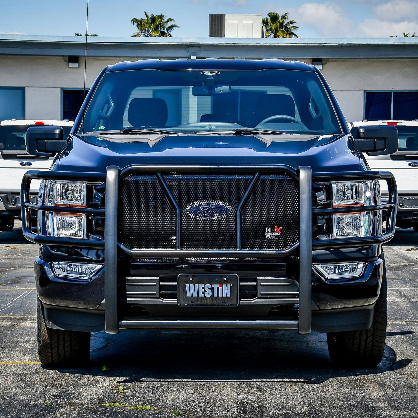 Westin HDX Modular Grille Guard for Ford F-150 (2021-2026) - 57-24065