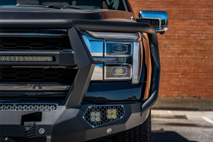 Road Armor Evolution Front Winch Bumper Reaper Guard 2024-2026 Ford F-150 - 6241EF7B