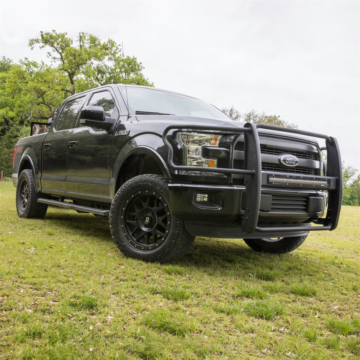 ARIES Pro Series Black Steel Grille Guard for Ford F-150 (2015-2020) - P3066