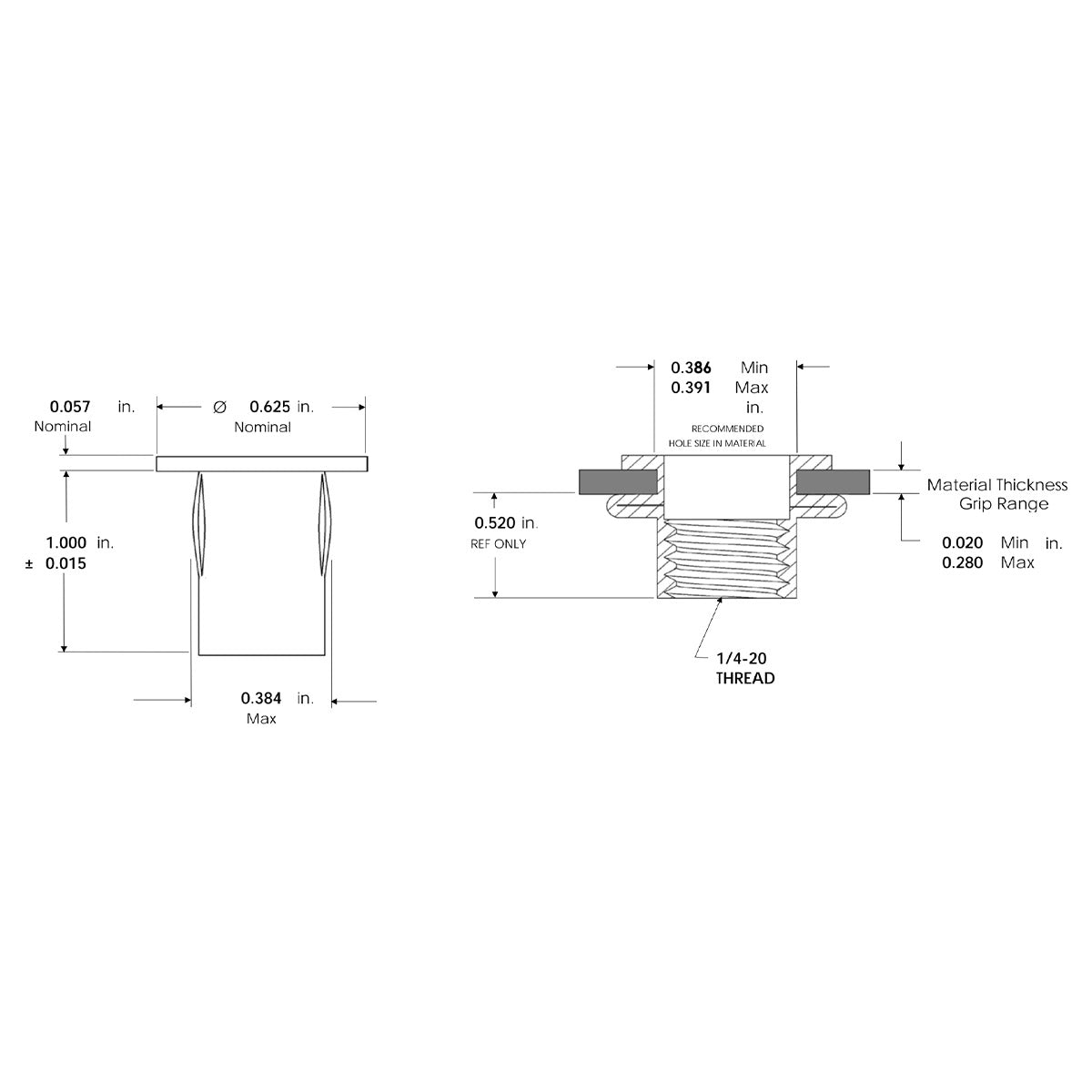 Plus Nuts - Stainless Steel - 1/4"-20 (20 Pack)