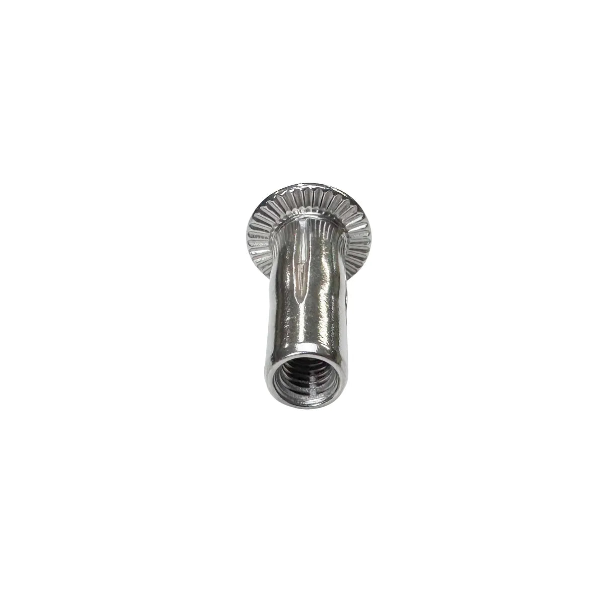 Plus Nuts - Stainless Steel - 5/16"-18 (20 Pack)