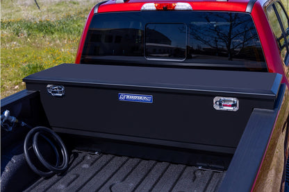 Transfer Flow 70-Gallon Steel Transfer Tank & Tool Box Combo - 0800116230