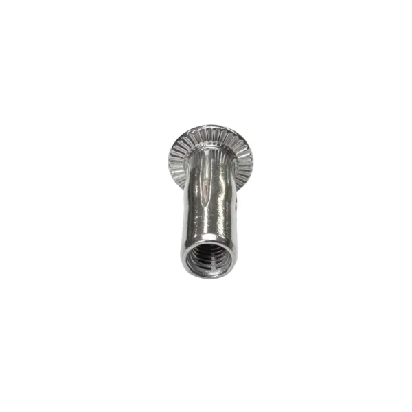 Plus Nuts - Stainless Steel - M6 (20 Pack) - Image 5